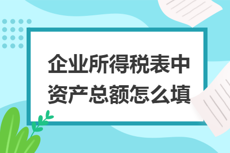 企业所得税表中资产总额怎么填