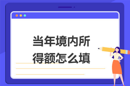 当年境内所得额怎么填