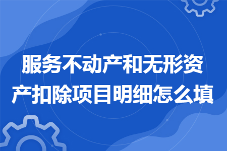 服务不动产和无形资产扣除项目明细怎么填