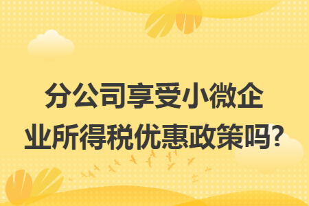 分公司享受小微企业所得税优惠政策吗?