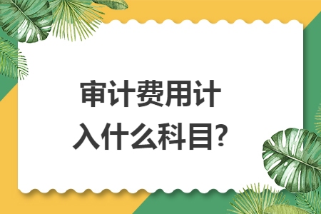 审计费用计入什么科目?