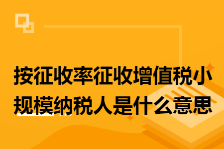 按征收率征收增值税小规模纳税人是什么意思