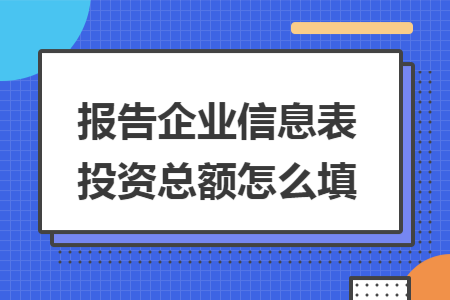 报告企业信息表投资总额怎么填