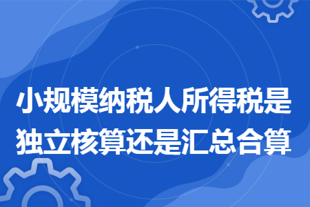 小规模纳税人所得税是独立核算还是汇总合算