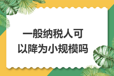 一般纳税人可以降为小规模吗
