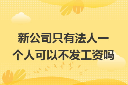 新公司只有法人一个人可以不发工资吗