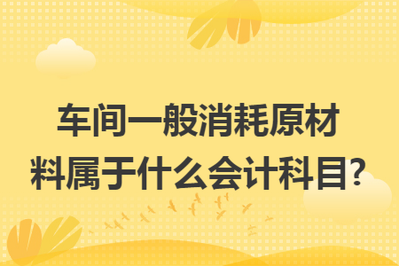 车间一般消耗原材料属于什么会计科目?