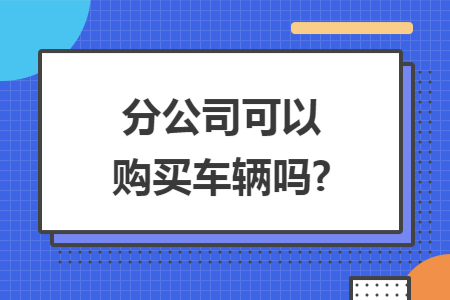 分公司可以购买车辆吗?