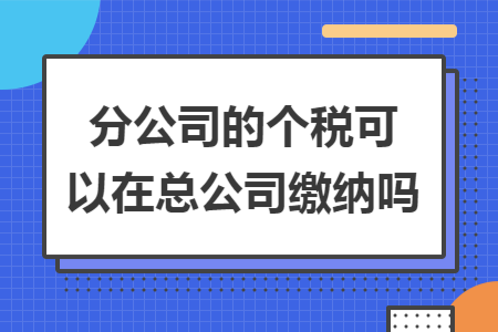 分公司的个税可以在总公司缴纳吗