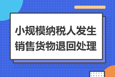 小规模纳税人发生销售货物退回处理