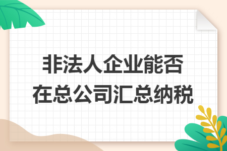 非法人企业能否在总公司汇总纳税