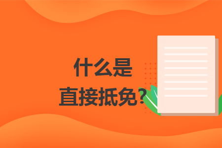 什么是直接抵免?
