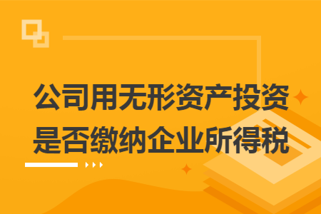 公司用无形资产投资是否缴纳企业所得税