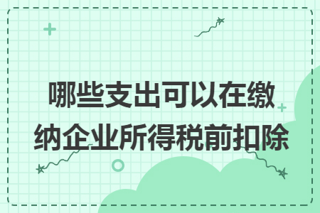 哪些支出可以在缴纳企业所得税前扣除