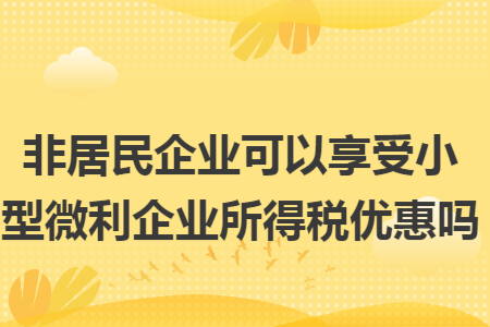 非居民企业可以享受小型微利企业所得税优惠吗