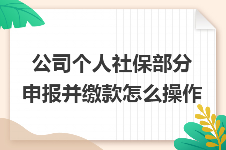 公司个人社保部分申报并缴款怎么操作