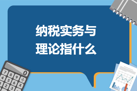 纳税实务与理论指什么