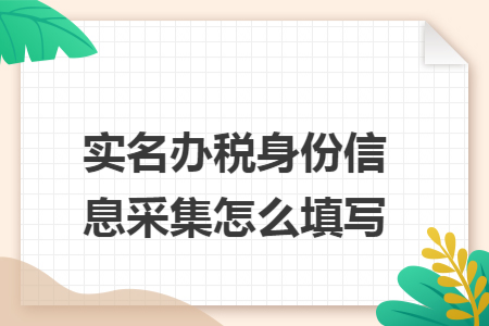 实名办税身份信息采集怎么填写