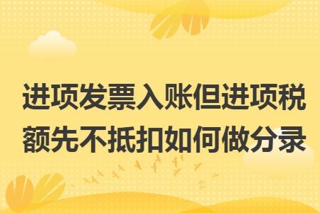 进项发票入账但进项税额先不抵扣如何做分录