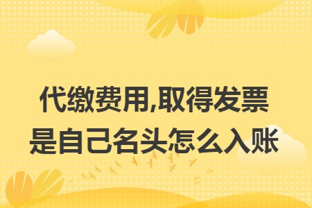 代缴费用,取得发票是自己名头怎么入账