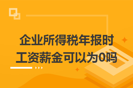 企业所得税年报时工资薪金可以为0吗