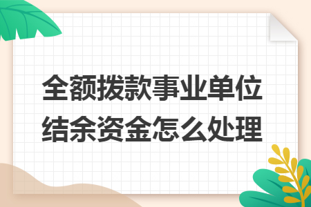 全额拨款事业单位结余资金怎么处理