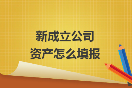 新成立公司资产怎么填报