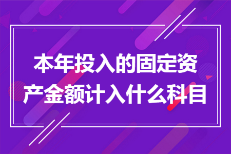 本年投入的固定资产金额计入什么科目