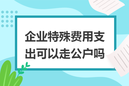 企业特殊费用支出可以走公户吗