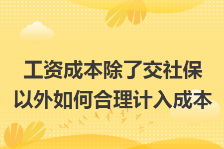 工资成本除了交社保以外如何合理计入成本
