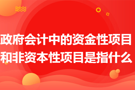 政府会计中的资金性项目和非资本性项目是指什么