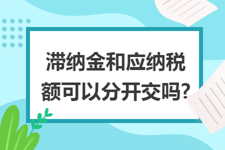 滞纳金和应纳税额可以分开交吗?