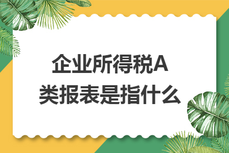 企业所得税A类报表是指什么