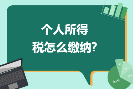 个人所得税怎么缴纳?