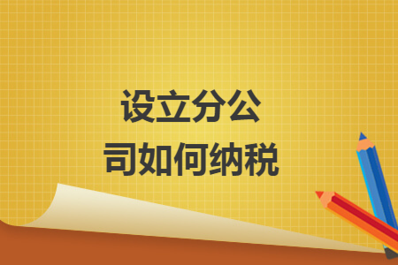 设立分公司如何纳税