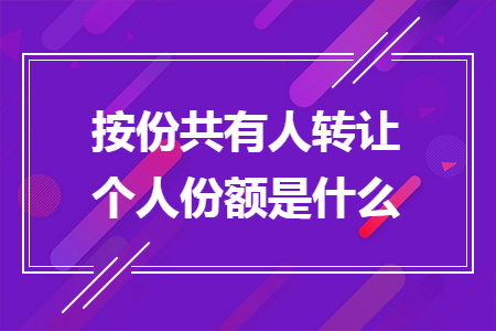 按份共有人转让个人份额是什么