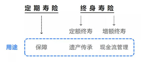 养老金/教育金的最佳选择