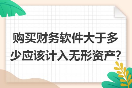 购买财务软件大于多少应该计入无形资产? 购买财务软件大于多少应该计入无形资产?