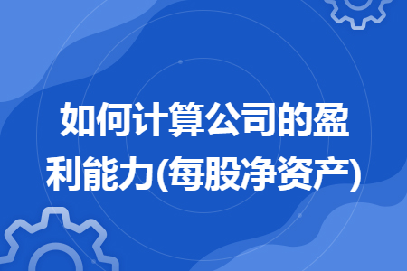 如何计算公司的盈利能力(每股净资产) 如何计算公司的盈利能力(每股净资产)