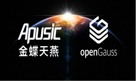 金蝶天燕和金蝶的关系 金蝶天燕和金蝶的关系