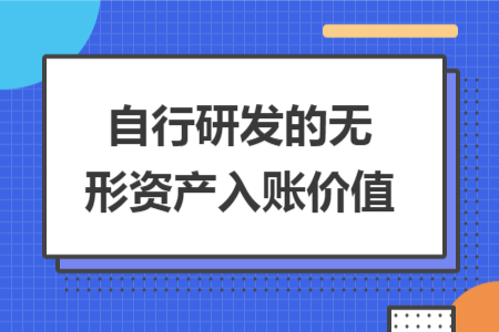 自行研发的无形资产入账价值