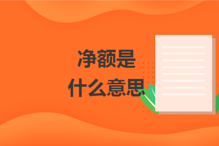 净额是什么意思