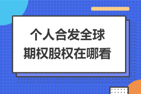 个人合发全球期权股权在哪看