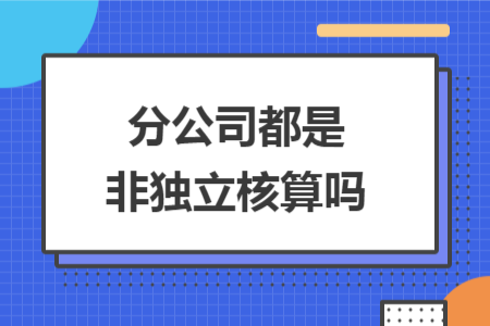分公司都是非独立核算吗