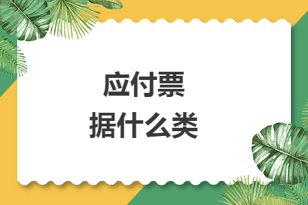 应付票据什么类