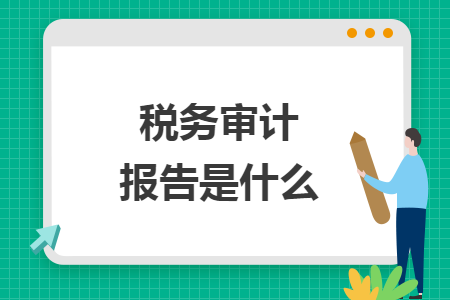 税务审计报告是什么