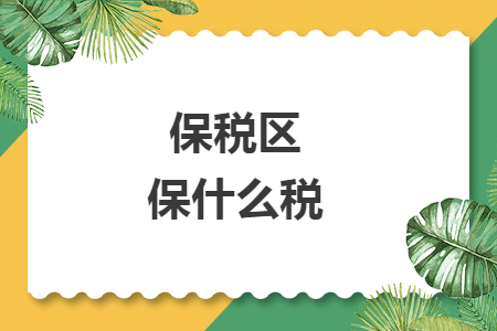 保税区保什么税