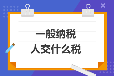 一般纳税人交什么税