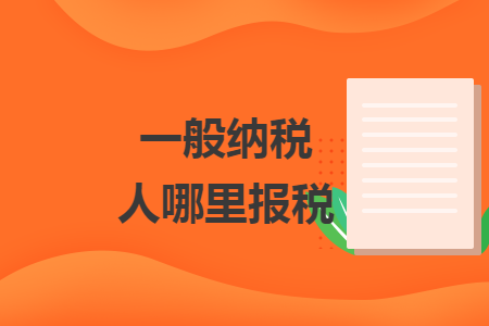 一般纳税人哪里报税 一般纳税人哪里报税