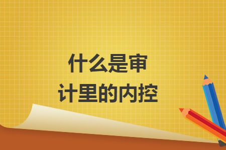 什么是审计里的内控 什么是审计里的内控